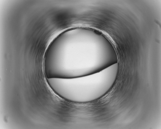 X0000094441295200711081017