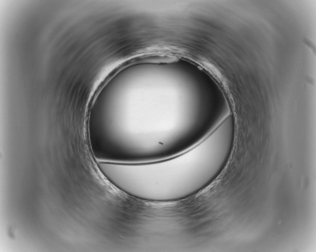X0000094441296200711081017