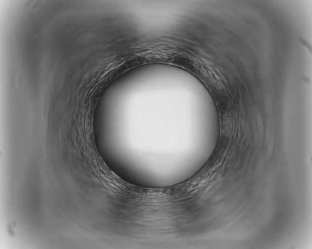 X0000094441297200711081017