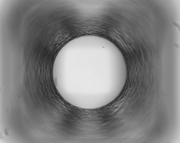 X0000094441298200711081017