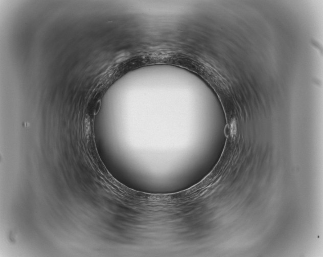 X0000094441299200711081017