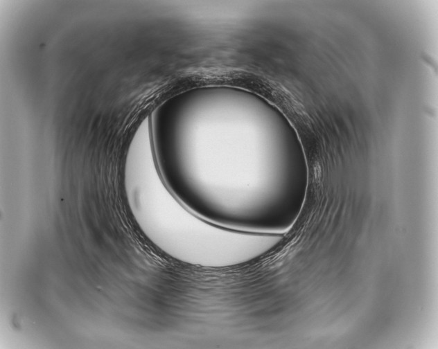 X0000094441300200711081017