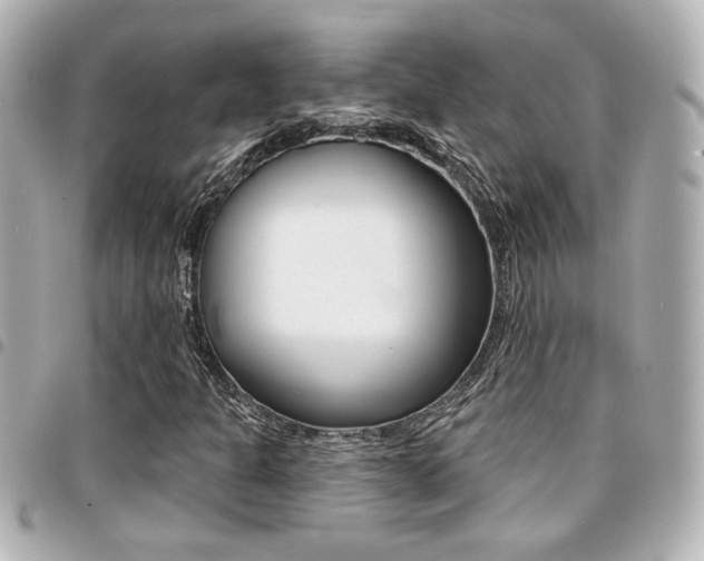 X0000094441301200711081017