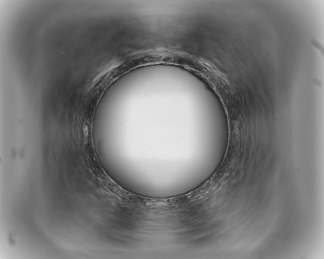 X0000094441302200711081017