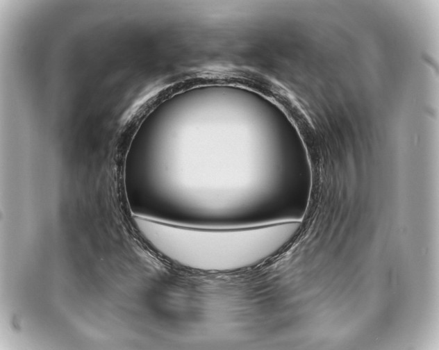 X0000094441304200711081017