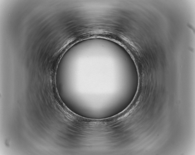 X0000094441305200711081017