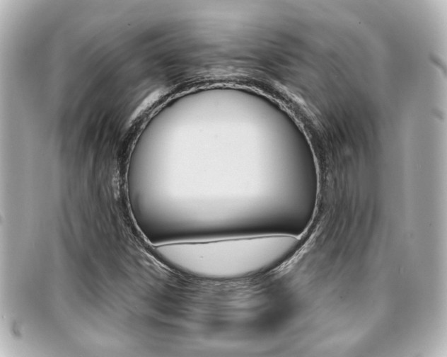 X0000094441306200711081017
