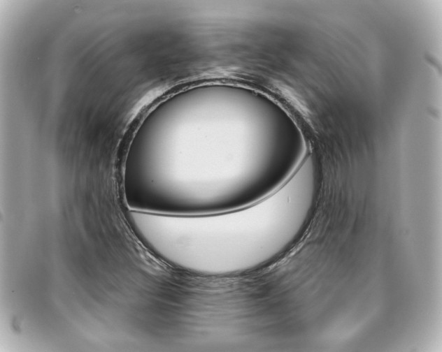 X0000094441308200711081017