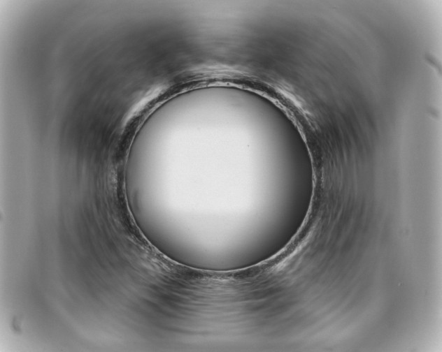 X0000094441309200711081017