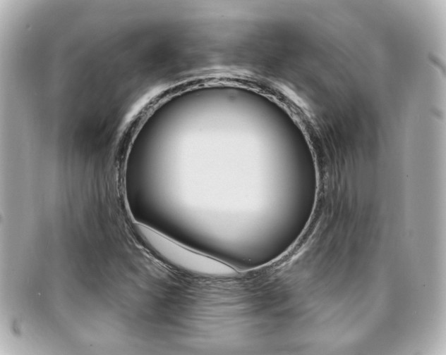 X0000094441310200711081017