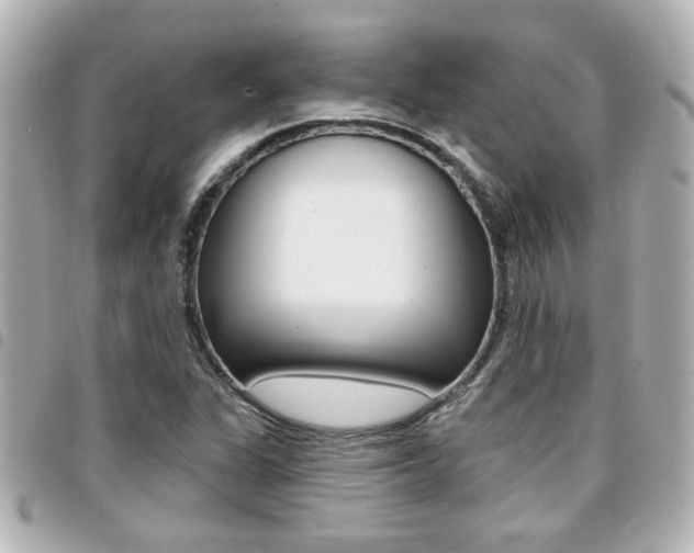X0000094441311200711081017
