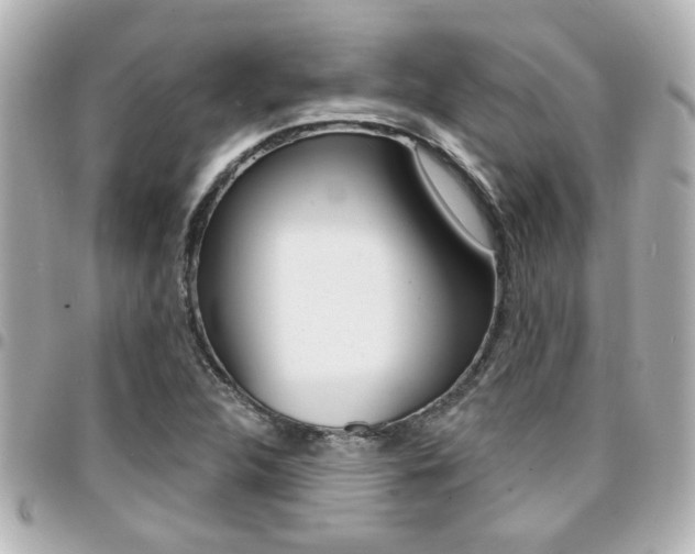 X0000094441312200711081017