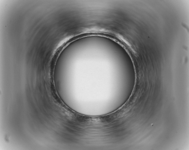 X0000094441315200711081017