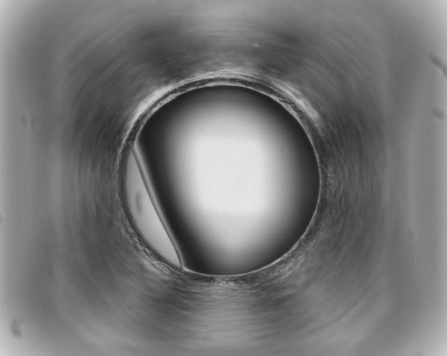 X0000094441316200711081017