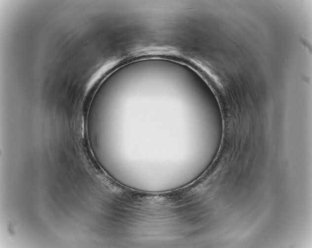 X0000094441317200711081017