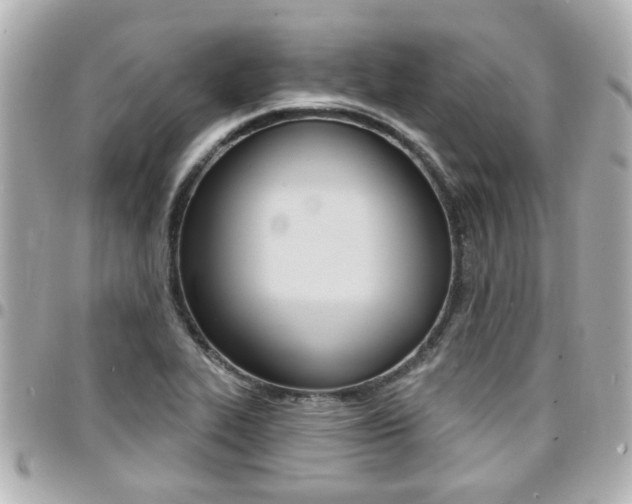 X0000094441319200711081017