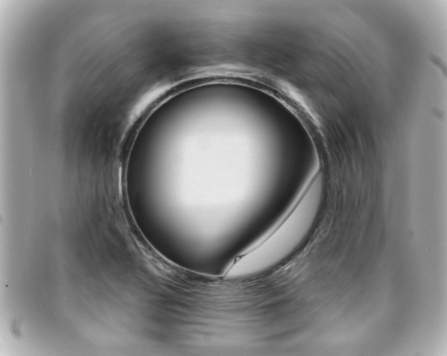X0000094441320200711081017