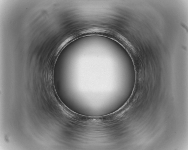 X0000094441321200711081017