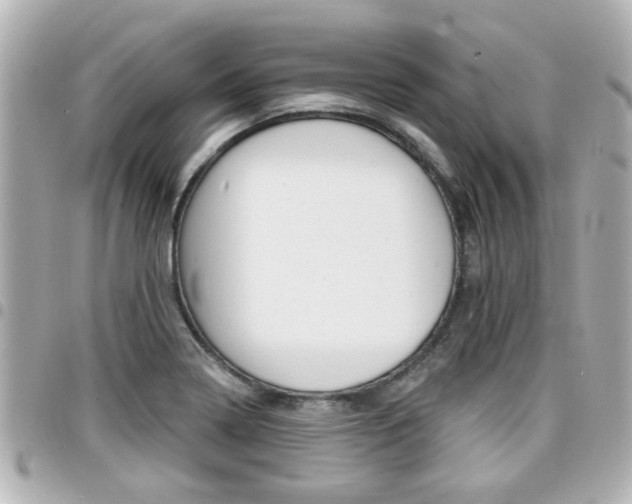 X0000094441322200711081017