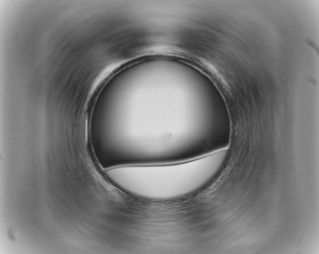 X0000094441323200711081017