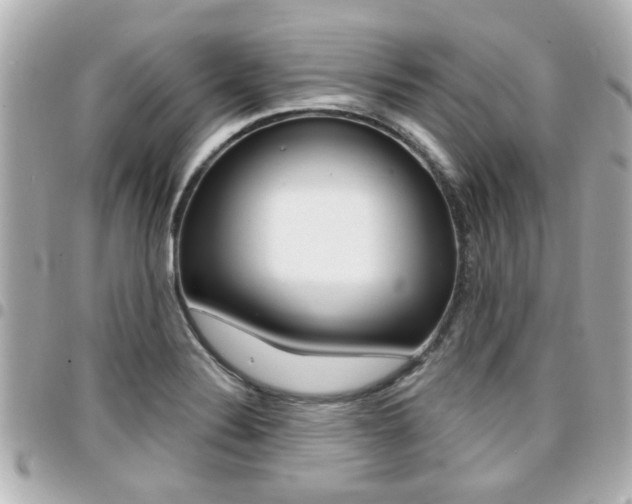 X0000094441324200711081017