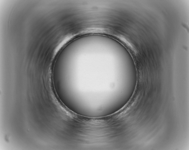 X0000094441325200711081017