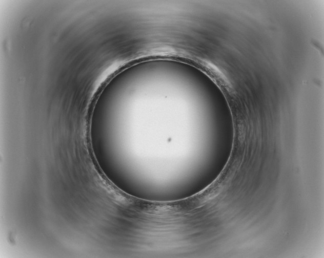X0000094441326200711081017