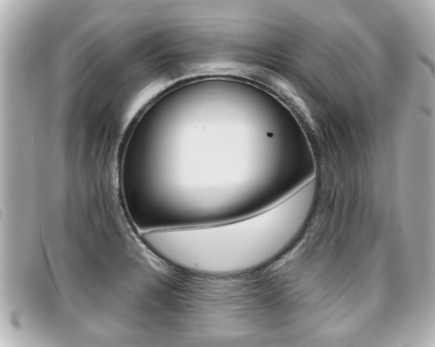 X0000094441328200711081017