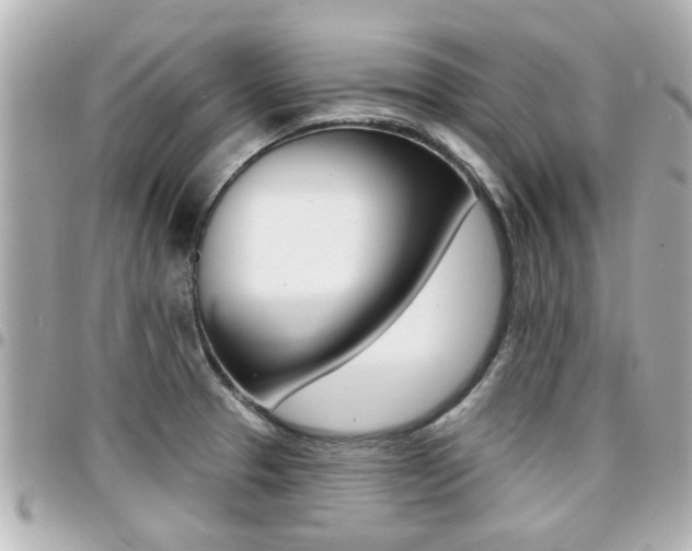 X0000094441329200711081017