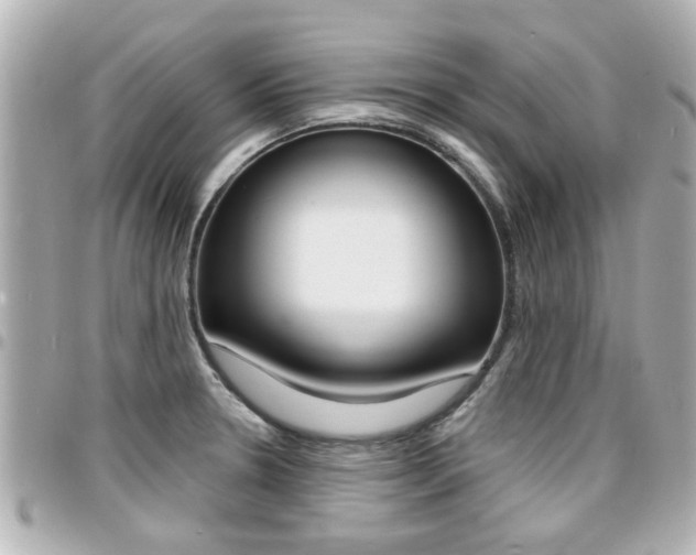 X0000094441330200711081017