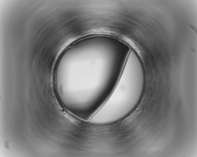 X0000094441331200711081017