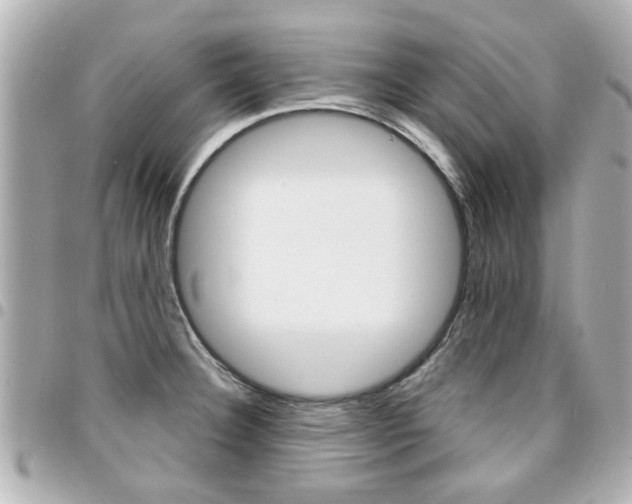 X0000094441332200711081017