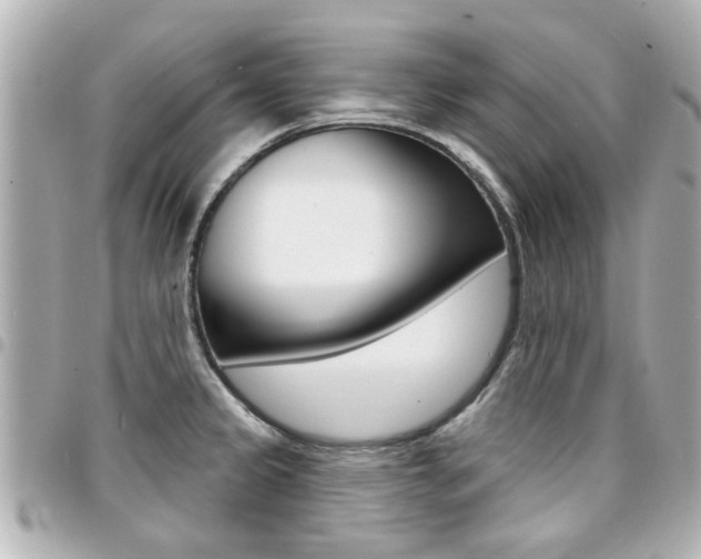 X0000094441333200711081017