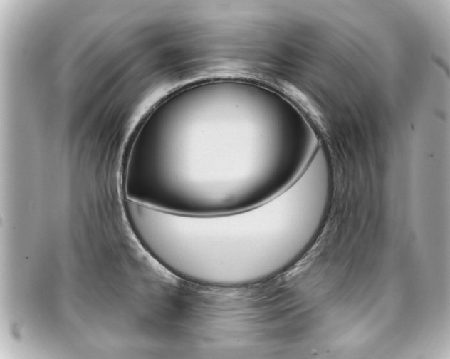 X0000094441334200711081017