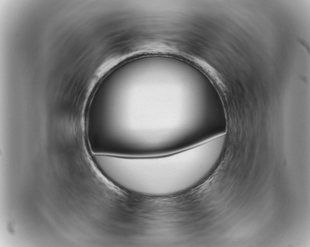 X0000094441335200711081017