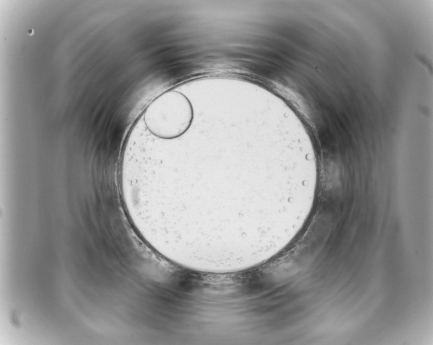 X0000094441338200711081017