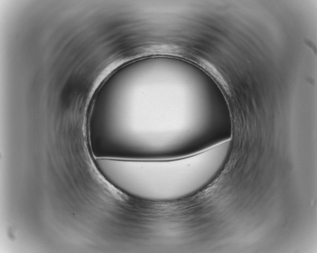 X0000094441339200711081017