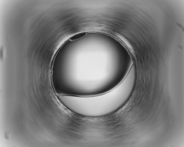 X0000094441340200711081017