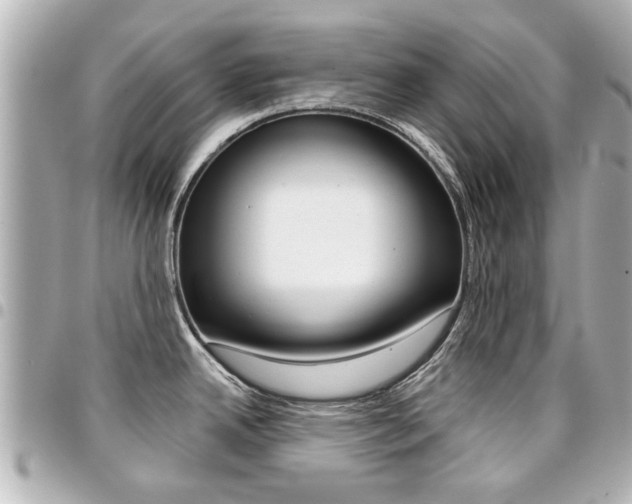 X0000094441342200711081017