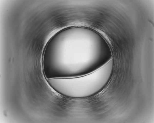 X0000094441343200711081017