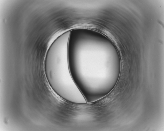 X0000094441344200711081017