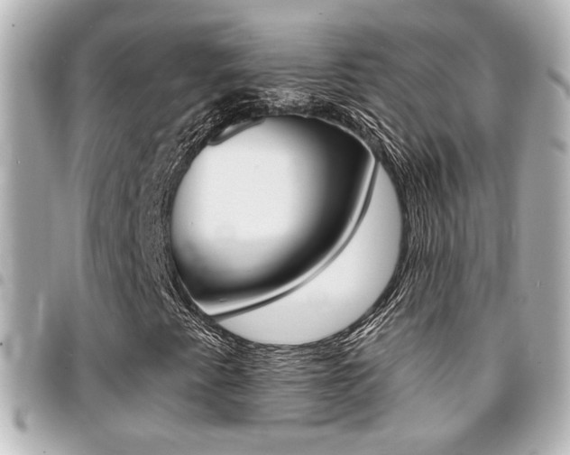 X0000094441345200711081017