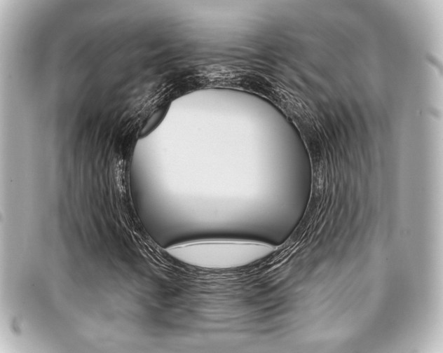 X0000094441346200711081017