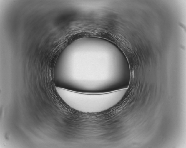X0000094441347200711081017