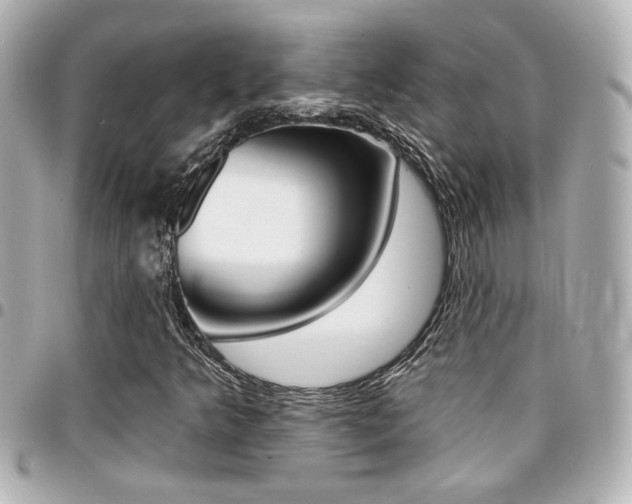 X0000094441349200711081017