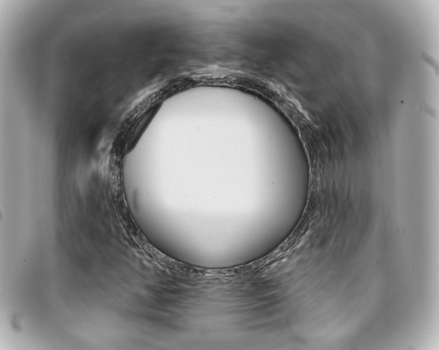X0000094441350200711081017