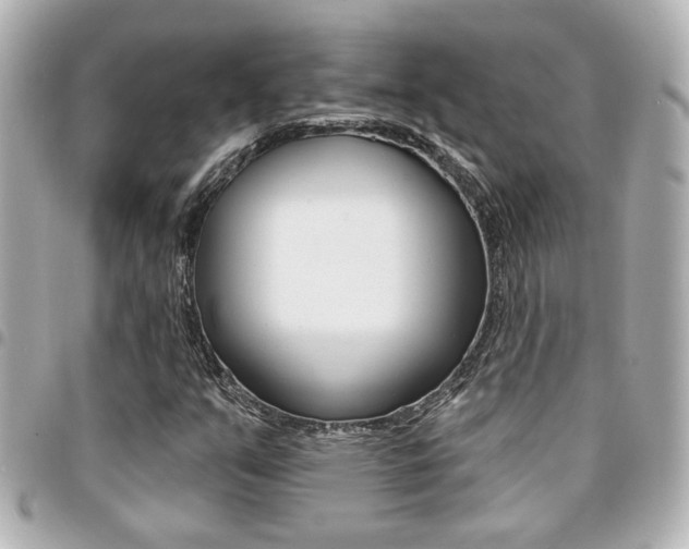 X0000094441351200711081016