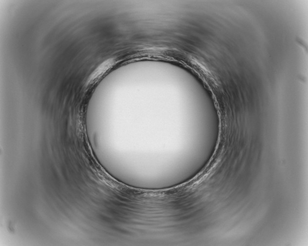 X0000094441354200711081016
