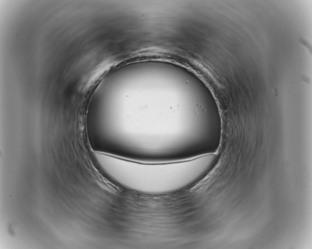 X0000094441355200711081016
