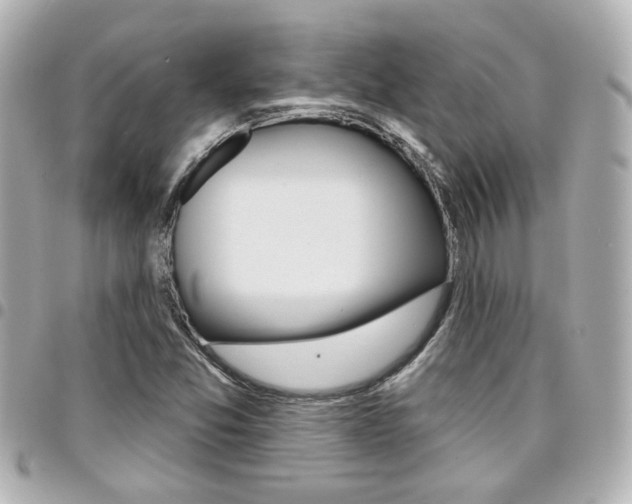 X0000094441357200711081016